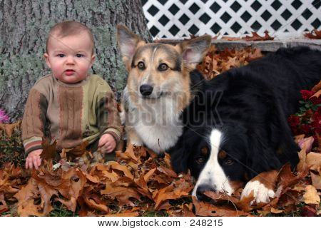 Baby og to hunde 002
