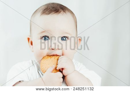 Adorable Baby Eating A Cookie