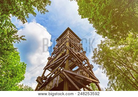 High Wooden Observation Tower Surrounded By Trees. Blue Sky And Fluffy Clouds On Background