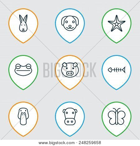 Animal Icons Set With Dog, Frog, Pig And Other Kine Elements. Isolated Vector Illustration Animal Ic