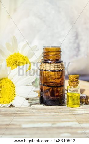Chamomile Essential Oil. Selective Focus. Butle Little.