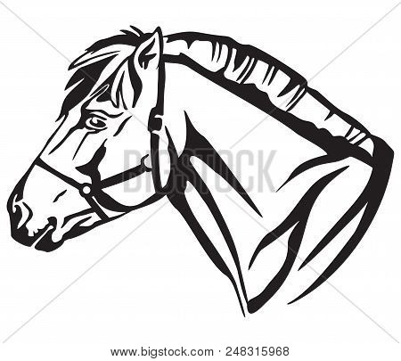 Decorative Portrait In Profile Of Norwegian Fjord Pony, Vector Isolated Illustration In Black Color 