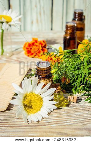 Chamomile Essential Oil. Selective Focus. Butle Little.