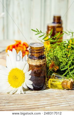 Chamomile Essential Oil. Selective Focus. Butle Little.