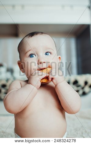 Adorable Baby Eating A Cookie