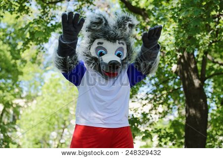 ST. PETERSBURG, RUSSIA - MAY 26, 2018: Actor dressed as the mascot of Football World Cup Russia 2018 Zabivaka performs during traditional Dachshund Parade. ?ity prepares to host 7 matches of World Cup