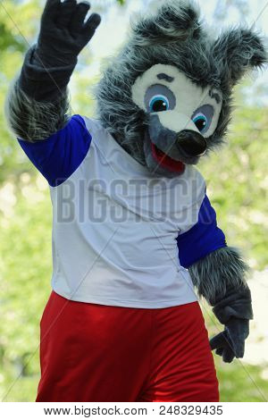 ST. PETERSBURG, RUSSIA - MAY 26, 2018: Actor dressed as the mascot of Football World Cup Russia 2018 Zabivaka performs during traditional Dachshund Parade. ?ity prepares to host 7 matches of World Cup