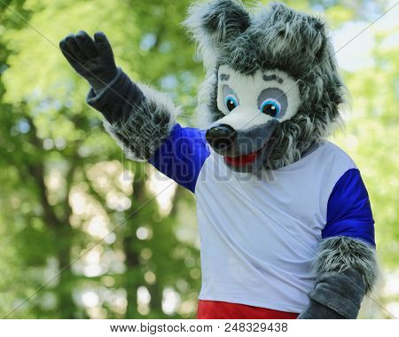 ST. PETERSBURG, RUSSIA - MAY 26, 2018: Actor dressed as the mascot of Football World Cup Russia 2018 Zabivaka performs during traditional Dachshund Parade. ?ity prepares to host 7 matches of World Cup