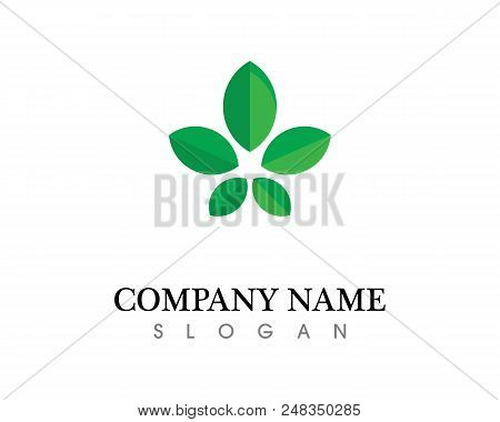 Vector - Tree Green People Identity Card Vector Logo Template
