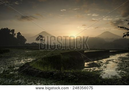 Into The Rice Fields In Wonosobo, With Background Sindoro Sumbing When The Morning