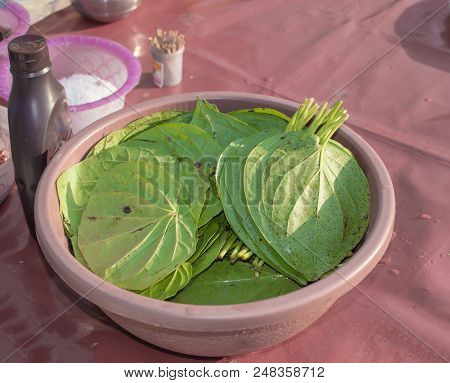 Green Paan Betel Leaves On Sale At A Paan Shop