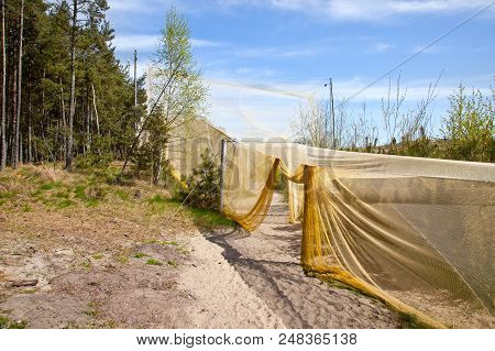 Curonian Spit, Russia - May 02.2018: The Curonian Spit National Park. Ornithological Station Of Frin