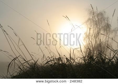 Automne Mist2