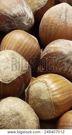 Huzelnut Background.
Hazelnuts In Shell Stacked In A Heap Shot From Above Closeup