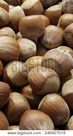 Huzelnut Background.
Hazelnuts In Shell Stacked In A Heap Shot From Above Closeup