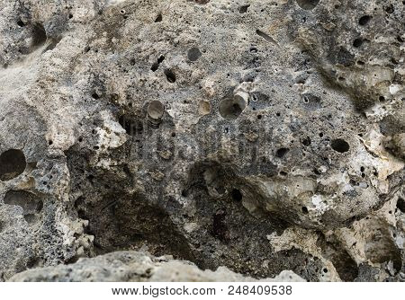 Uneven Weathered Stone Gray With Craters Holes Hewn Water Sea Background Geology