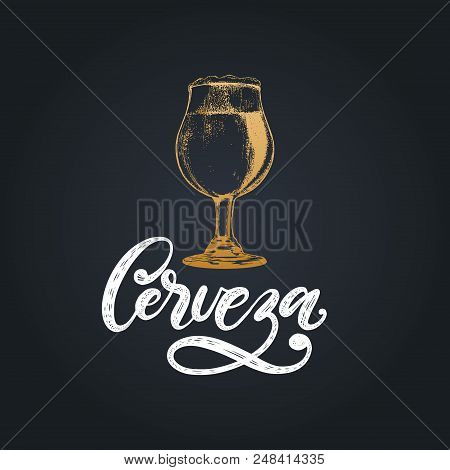 Cerveza, Vector Hand Lettering. Translation From Spanish Of Word Beer. Hand Drawn Illustration Of Tr