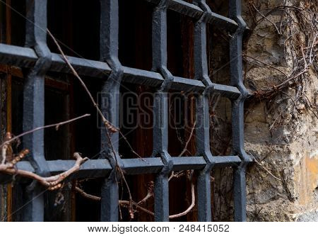 Window Old Grate Dungeon Dark Failure Entwined By Wild Grapes Part Of Old Wall