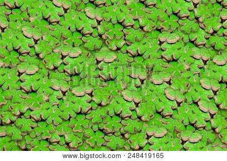 Panno Set Clover Green Mastic On Biscuit Biscuit Festive Background Feeding Background Wrapping Pape