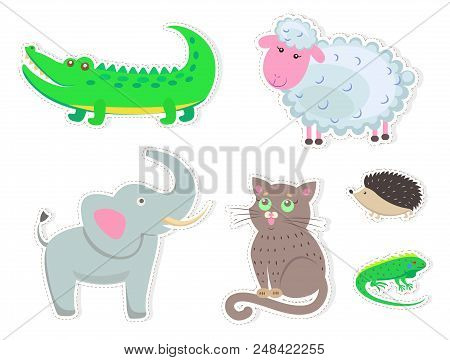 Funny Cartoon Animals Isolated On White Background. Big Crocodile, White Sheep, Fluffy Cat, Small He