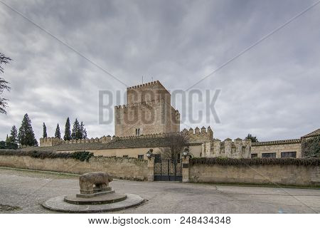 Salamanca, Spain, February 2016: Castle And Verraco Of The Town Of Ciudad Rodrigo In The Province Of