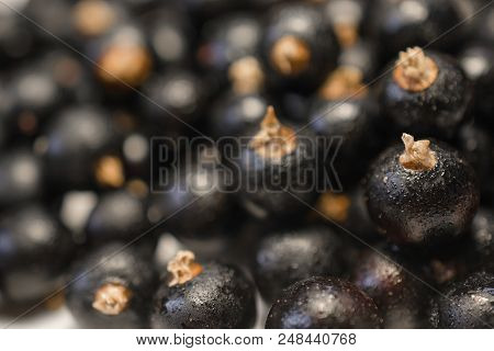 Background Texture Of Dripping Black Cuurant. Close-up Photo.