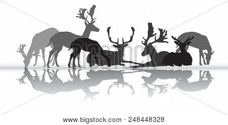 Group Of Black And Grey Isolated Silhouettes Of Deers (male An Female Red Deer) Standing And Lying W