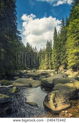 River Vydra In Sumava Mountains