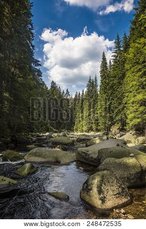 River Vydra In Sumava Mountains