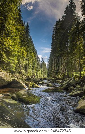 River Vydra In Sumava Mountains