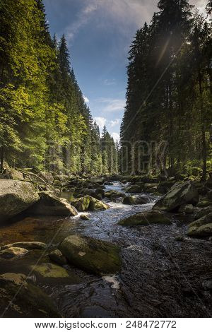 River Vydra In Sumava Mountains In Czech Repoublic