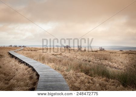 Autumn View Of The Hautes Fagnes On Top Of Belgium In Wallonia.
