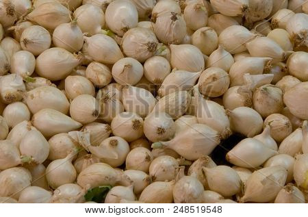 Silverskin Pickling Onions For Sale On A Market