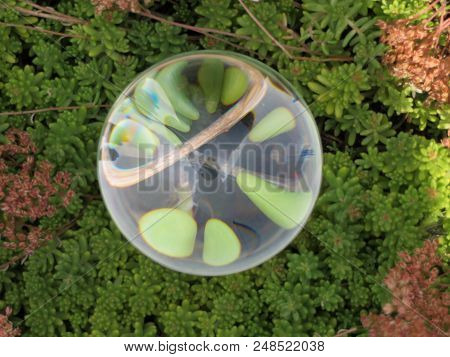The Real World Seen Thourough A Glass Sphre