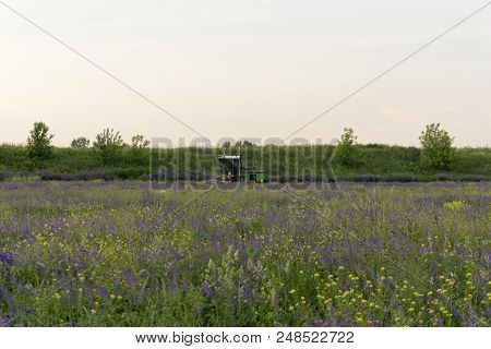 Pastoral Landscape With A Flowering Meadow And A Machine For Cleaning Livestock Feed In The Backgrou