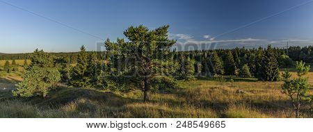 Slavkovsky Les Mountains In Summer Sunny Nice Morning Near Krizky Area