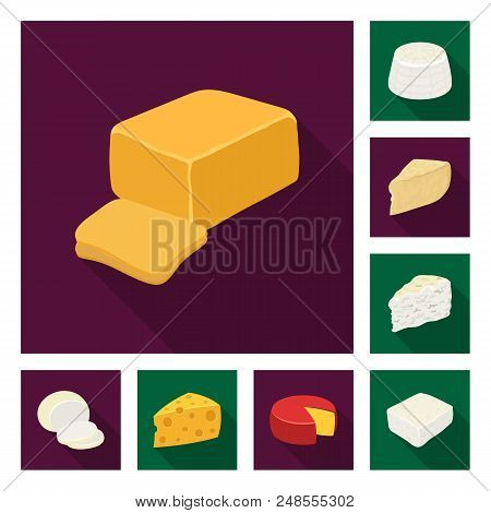 Different Kind Of Cheese Flat Icons In Set Collection For Design.milk Product Cheese Vector Symbol S