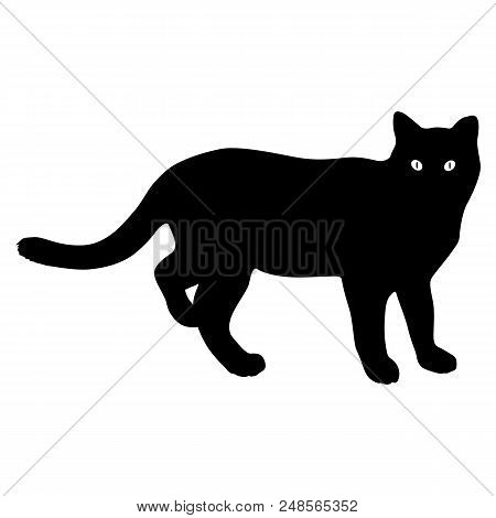 Silhouette Of The Lynx On A White Background.