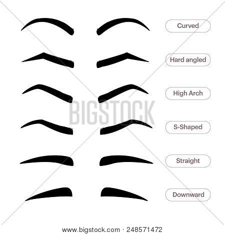 Eyebrow Shapes. Various Types Of Eyebrows. Classic Type And Other. Trimming. Vector Illustration Wit