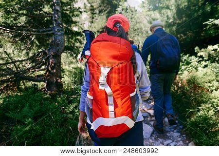 Group Of Tourists With Backpack Walking Forest. Travel And Backpacking Lifestyle Concept