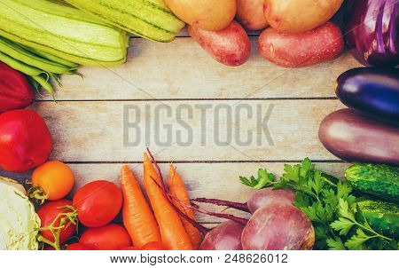 Different Bio Vegetables. Selective Focus. Bio Food.