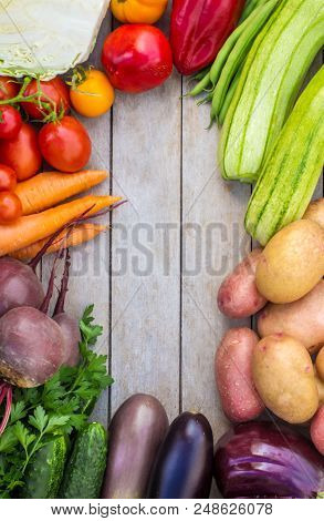 Different Bio Vegetables. Selective Focus. Bio Food.