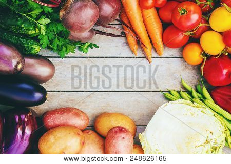 Different Bio Vegetables. Selective Focus. Bio Food.