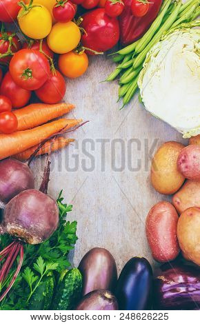 Different Bio Vegetables. Selective Focus. Bio Food.