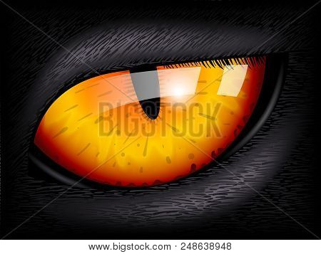 Cat Eye. Realistic 3d Image. Hires Vector File Eps 10. Layered And Editable