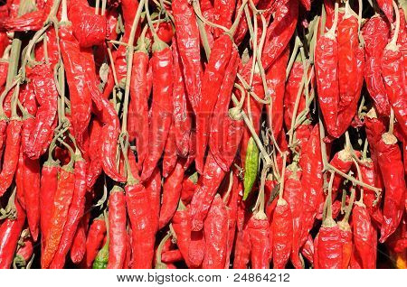 roter Pfeffer