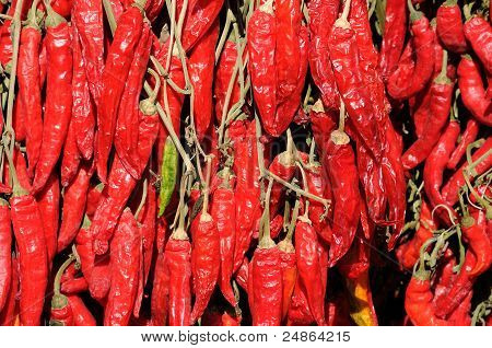 Rote Pfeffer