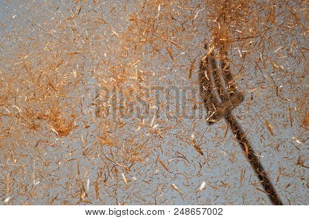 The Farmer Fanning Wheat, Separating The Wheat From The Chaff