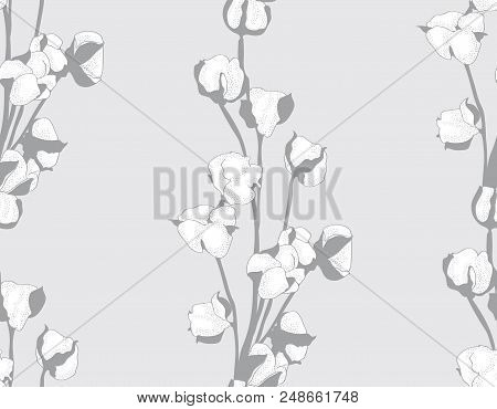 Cotton Bud Leaf Flower Vector Hand Drawn Seamless Pattern, Packaging, Label, Identity, Branding. Sty
