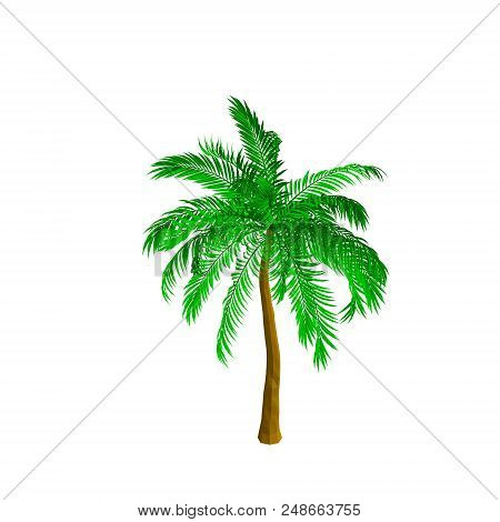 Palm Tree. Isolated On White Background. 3d Vector Illustration. Isometric View.